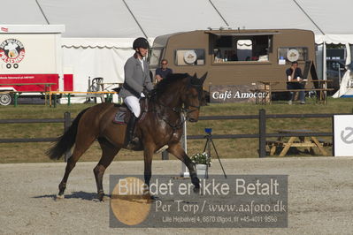 Csi1 two phases 135cm
Showjumping
Nøgleord: andreas schou;fortuna 1416