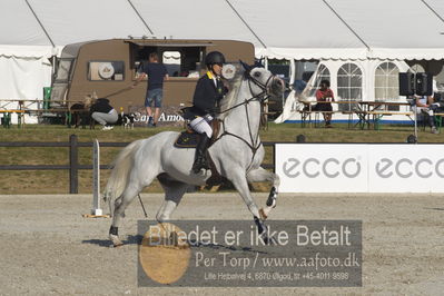 Csi1 two phases 135cm
Showjumping
Nøgleord: jacqueline lai;confidence 9