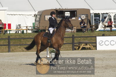 Csi1 two phases 135cm
Showjumping
Nøgleord: jessica toelstang;luigi