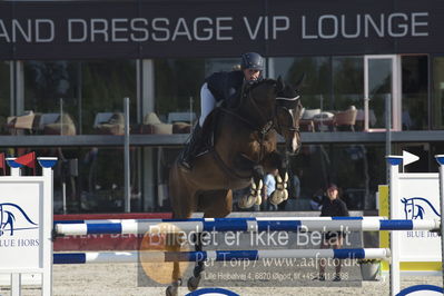 Csi1 two phases 135cm
Showjumping
Nøgleord: dorthe dahlmann olsen;speciel dream d