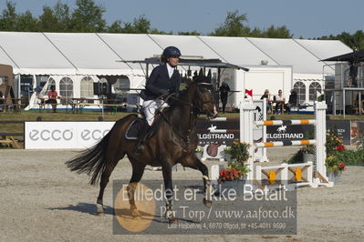 Csi1 two phases 135cm
Showjumping
Nøgleord: dorthe dahlmann olsen;speciel dream d