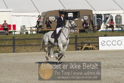 Csi1 two phases 135cm
Showjumping
Nøgleord: jessica winther jensen;leonie 111 z