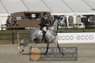 Csi1 two phases 135cm
Showjumping
Nøgleord: fredrik spetz;mexico