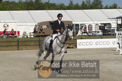 Csi1 two phases 135cm
Showjumping
Nøgleord: fredrik spetz;mexico