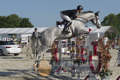 Csi1 two phases 135cm
Showjumping
Nøgleord: fredrik spetz;mexico