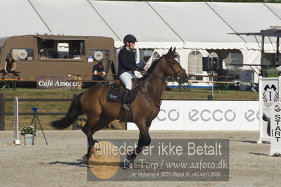 Csi1 two phases 135cm
Showjumping
Nøgleord: sandra enemark;bjerglunds condor
