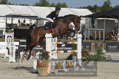 Csi1 two phases 135cm
Showjumping
Nøgleord: sandra enemark;bjerglunds condor