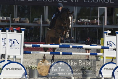 Csi1 two phases 135cm
Showjumping
Nøgleord: sandra enemark;bjerglunds condor