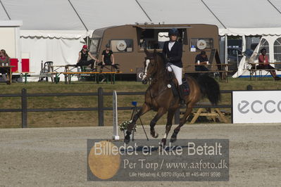 Csi1 two phases 135cm
Showjumping
Nøgleord: sandra enemark;bjerglunds condor