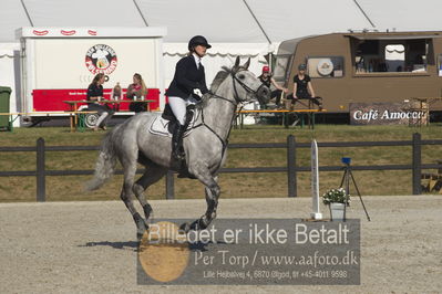 Csi1 two phases 135cm
Showjumping
Nøgleord: detroit;louise soegaard