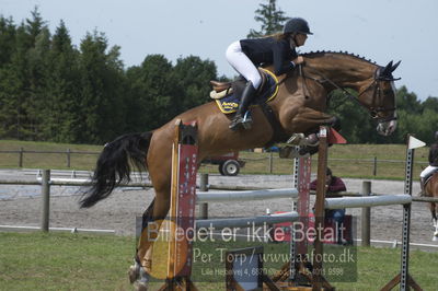 Drf-championater kvalifikation spring
5års springheste
Nøgleord: rikke vingborg;alfredo alfarvad z