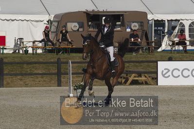 Csi1 two phases 135cm
Showjumping
Nøgleord: charlotte kondrup;dithmarsia