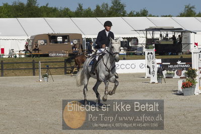 Csi1 two phases 135cm
Showjumping
Nøgleord: maksymilian wechta;quintus 93