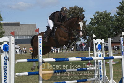 Drf-championater kvalifikation spring
5års springheste
Nøgleord: trine werner;syvhøjegårds fernando