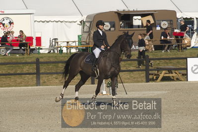 Csi1 two phases 135cm
Showjumping
Nøgleord: trine hjorth;rebel 549