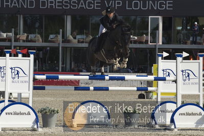 Csi1 two phases 135cm
Showjumping
Nøgleord: trine hjorth;rebel 549