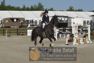 Csi1 two phases 135cm
Showjumping
Nøgleord: trine hjorth;rebel 549