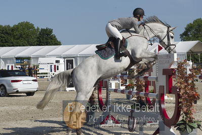 Csi1 two phases 135cm
Showjumping
Nøgleord: veronika gylthe;cornet session