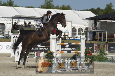 Csi1 two phases 135cm
Showjumping
