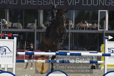 Csi1 two phases 135cm
Showjumping
