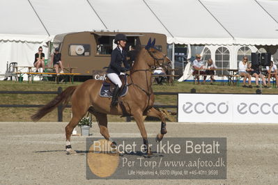 Csi1 two phases 135cm
Showjumping
Nøgleord: rachel steffen;kito epleaser van de tarwescho