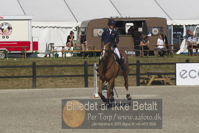 Csi1 two phases 135cm
Showjumping
Nøgleord: rachel steffen;kito epleaser van de tarwescho