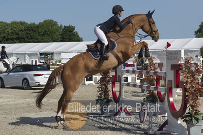 Csi1 two phases 135cm
Showjumping
Nøgleord: rachel steffen;kito epleaser van de tarwescho