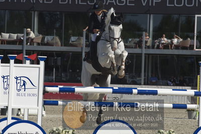 Csi1 two phases 135cm
Showjumping
Nøgleord: laura baaring kjærsgaard;freestyle 39