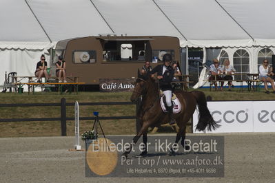 Csi1 two phases 135cm
Showjumping
Nøgleord: anna weilsby;quincy