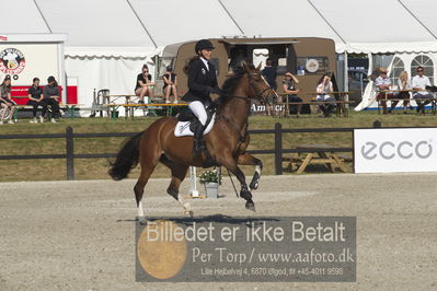 Csi1 two phases 135cm
Showjumping
Nøgleord: karen  møller rohde;valerie ask