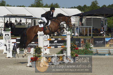 Csi1 two phases 135cm
Showjumping
Nøgleord: karen  møller rohde;valerie ask