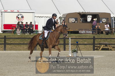 Csi1 two phases 135cm
Showjumping
Nøgleord: govett triggol;crabat 9