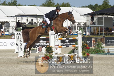 Csi1 two phases 135cm
Showjumping
Nøgleord: govett triggol;crabat 9