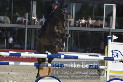 Csi1 two phases 135cm
Showjumping
Nøgleord: marina ehrnrooth;floor z