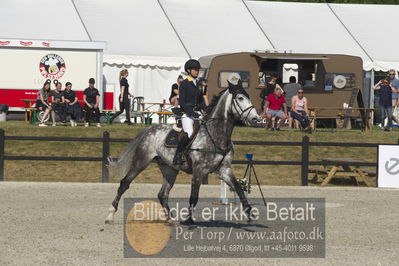 Csi1 two phases 135cm
Showjumping
Nøgleord: melinda ma;carblue