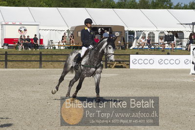 Csi1 two phases 135cm
Showjumping
Nøgleord: melinda ma;carblue