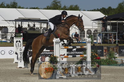 Csi1 two phases 135cm
Showjumping
Nøgleord: hans ley;quincy gold