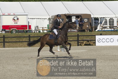 Csi1 two phases 135cm
Showjumping
Nøgleord: aistis vitkauskas;favour vg