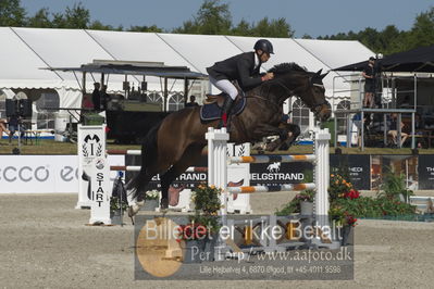 Csi1 two phases 135cm
Showjumping
Nøgleord: aistis vitkauskas;favour vg