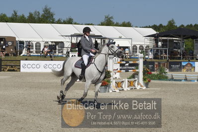 Csi1 two phases 135cm
Showjumping
Nøgleord: christine thirup christensen;lui viton