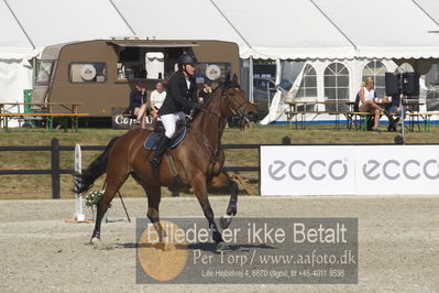 Csi1 two phases 135cm
Showjumping
Nøgleord: mia hovgaard jessen;sikita