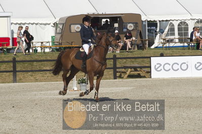 Csi1 two phases 135cm
Showjumping
