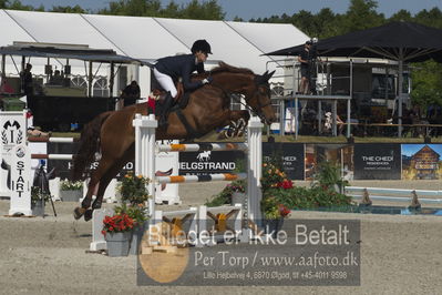 Csi1 two phases 135cm
Showjumping
