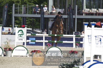 Csi1 two phases 135cm
Showjumping

