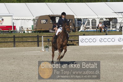 Csi1 two phases 135cm
Showjumping
