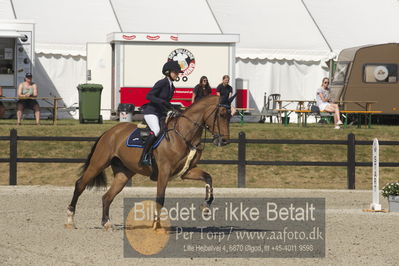 Csi1 two phases 135cm
Showjumping
Nøgleord: sofie westborg;jericho van de zeshoek