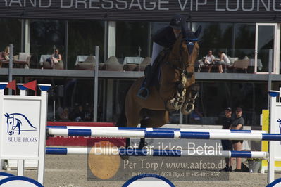 Csi1 two phases 135cm
Showjumping
Nøgleord: sofie westborg;jericho van de zeshoek