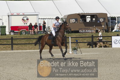 Csi1 two phases 135cm
Showjumping
Nøgleord: louise stenvang;harmonie