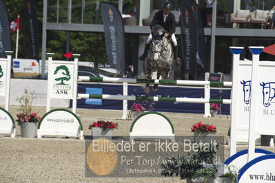 Csi1 two phases 135cm
Showjumping
Nøgleord: christian petersen;lester z