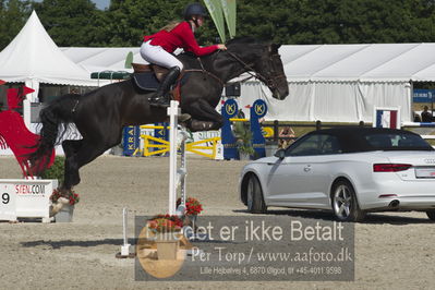 Csi1 two phases 135cm
Showjumping
Nøgleord: kamilla ladefoged rasmussen;heart of wild z